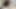 TikTok long masturbation