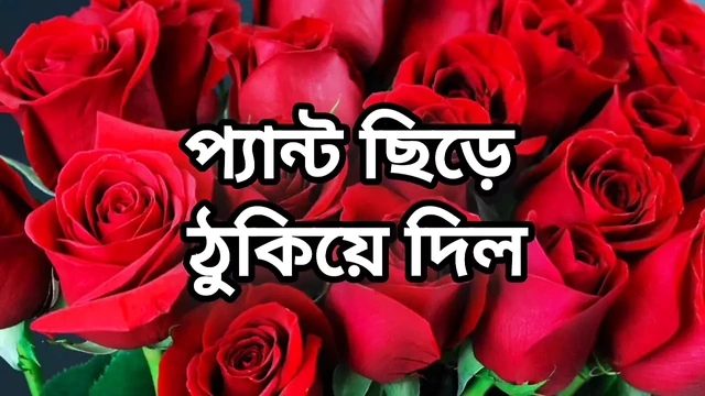 Bangla choto golpo beautiful sex story hot choti golpo in Bangla audio