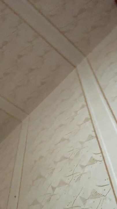 Я знаю, что ты жаждешь моих сисек