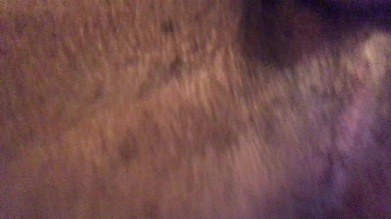 Bussy videó