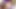 Masturbating big white cock with cumshot and loud moaning!