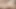 Do You Want To See All My Holes? I Want You To Watch While I Cum. Solo Honey Sasha