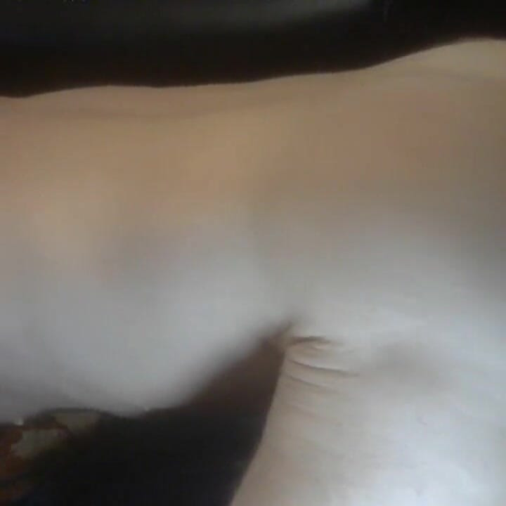 ディルドを突く 濡れた穴を突く