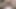 Don't get me Pregnant Please! Cum in my Ass Better! Stepmom MILF gives her Ass