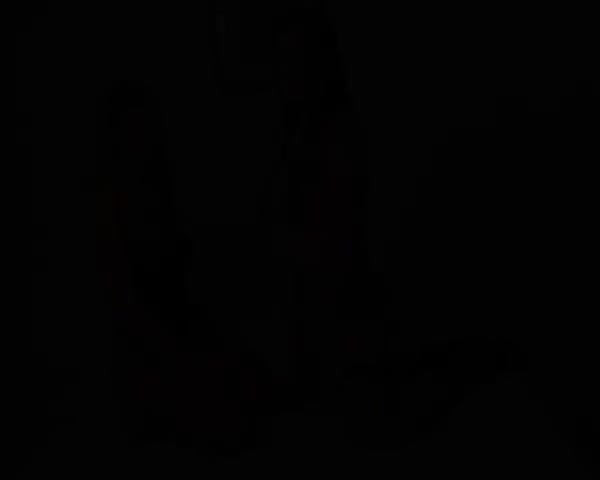 フェラチオをする