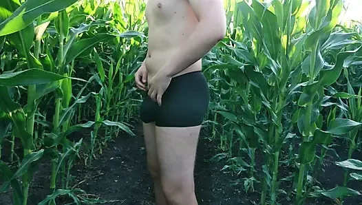 Guy Strips to Underwear in Cornfield and Jerks Off
