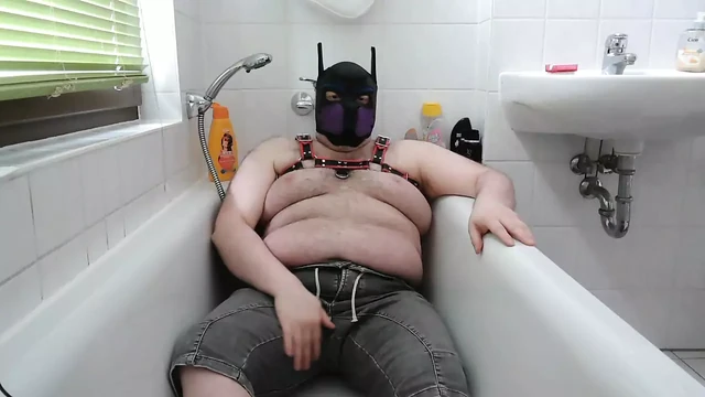 Horny dog in the tub