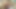 美しいモニカ・フォックスが黒いドレスを着てソファにバラを添えて
