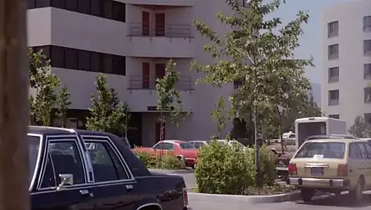 Enfermeiras desagradáveis (1984, filme completo, dvd rip)