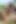 Orta yaşlı seksi kadın tüm yarağı amında hissetmeyi seviyor