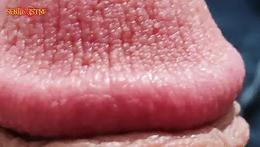 Совершенное произведение искусства