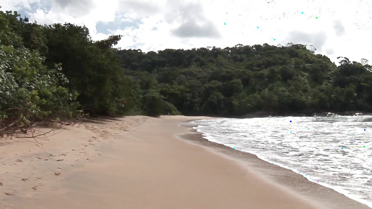 Exclusive video Bareback: Wild beach fuck together with hot gay boys