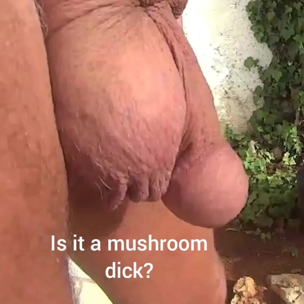 Is it?