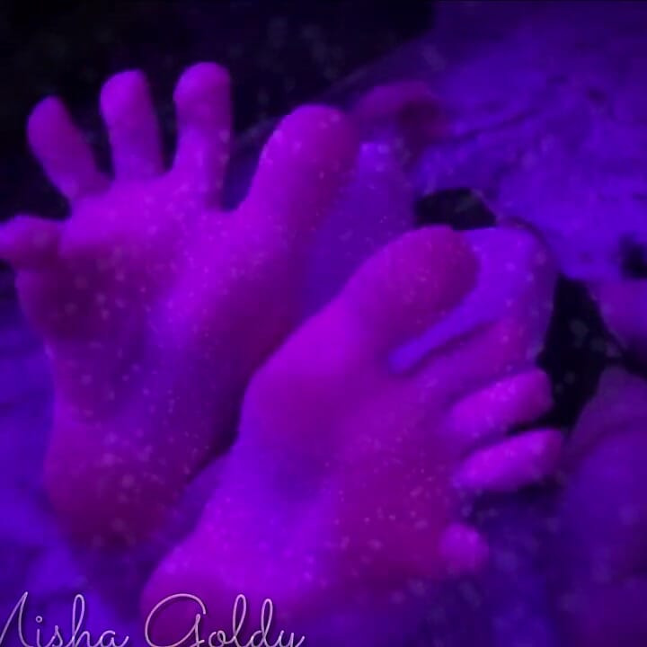 Consumed Is What You Are as I Walk Through Your Mesmerized Mind Day and Night, My Feet Your Only Thought. Such Power I Have