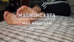 Pregled videozapisa