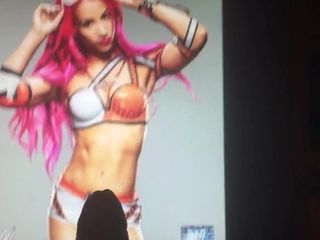 WWE Diva Sasha Banks hołd 01