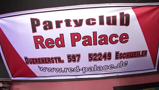 Top-class German blondes sharing dicks at the swinger party