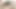 Big Dick TS Shemale Fuck hot Teen Girl and Cum on her Tits