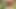 Outside Naked (garden) Compilation