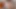 Big Black Dildo Corn Destroyed Small Anus Is Ready For Anal