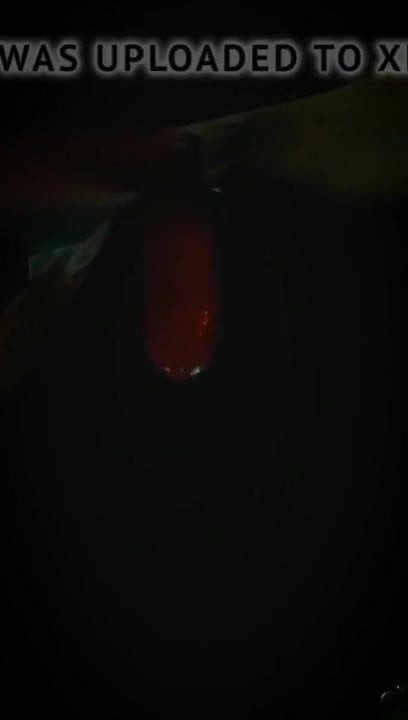 tribute from xyz666