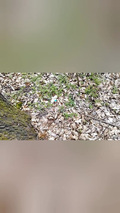 Bijela sperma mršavi djevica Sperma Mixxxx