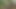 Lesbischer Sex Im Wald Mit Anschliessendem Blowjob Mit Einem Fremden (bw)