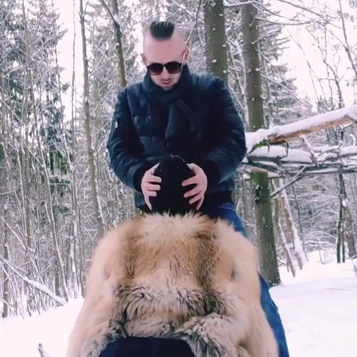In the Winter Forest