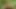 ven 11.mp4