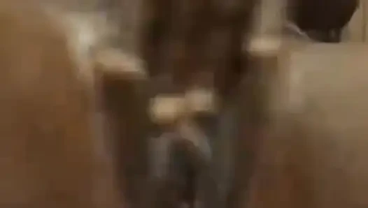 I Can't Stop Squirting