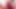 Stepmom pulsating creampie closeup gushing sperm How much sperm are you willing to give your stepmom .