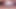 Hot Horny BBW Dildo Rider Preview