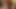 食前酒はDVDで提供されます