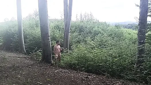 Kayın Ağaçları Arasında: Çıplak Ağaçta Kaba Bir Sergi