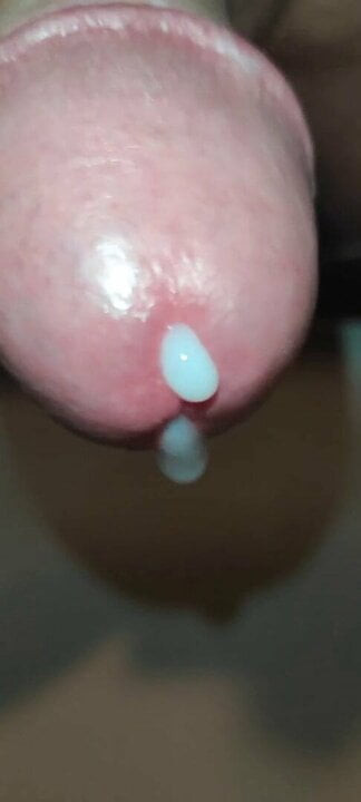 Cock