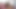 親友が自分の下着姿でオナニーしているのを見て、激しくセックスしました。結局、私は彼の顔に射精してしまいました。