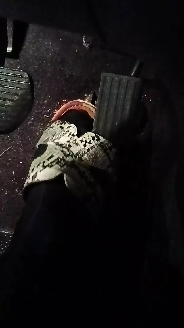 Pedal Pumping