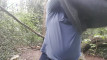 Pregled videozapisa