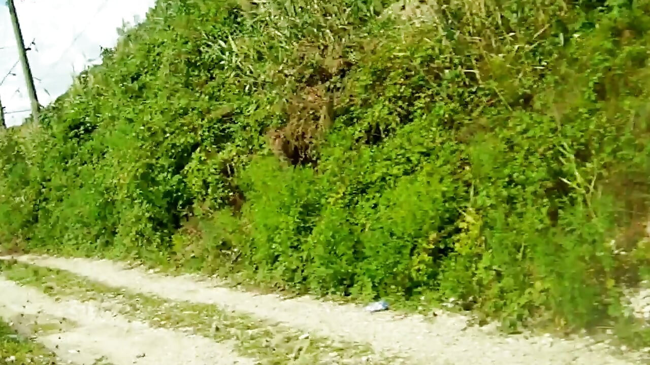 My teen stepdaughter gave me a delicious blowjob while we were walking by the sea