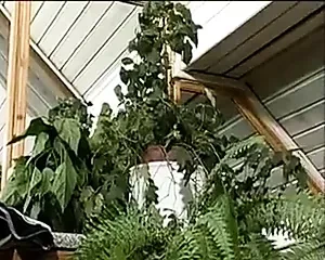 Der verfuehrte Enkel