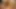 Johntronx - si cantik rambut cokelat dientot habis-habisan sampai dicrot di dalam - pov