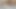 Only girls. Big Dig Manstubration Desi Big Penis Desi Sex Video Assam India local boy video