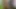 stepdaughter I ask her stepfather for a massage and he puts his thick black cock in me