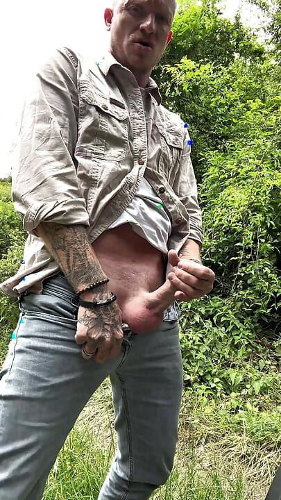 Stop in the woods