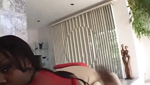 Interracial Madness Vol.1