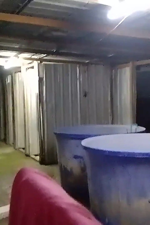 Please Help Me Rub My Back.