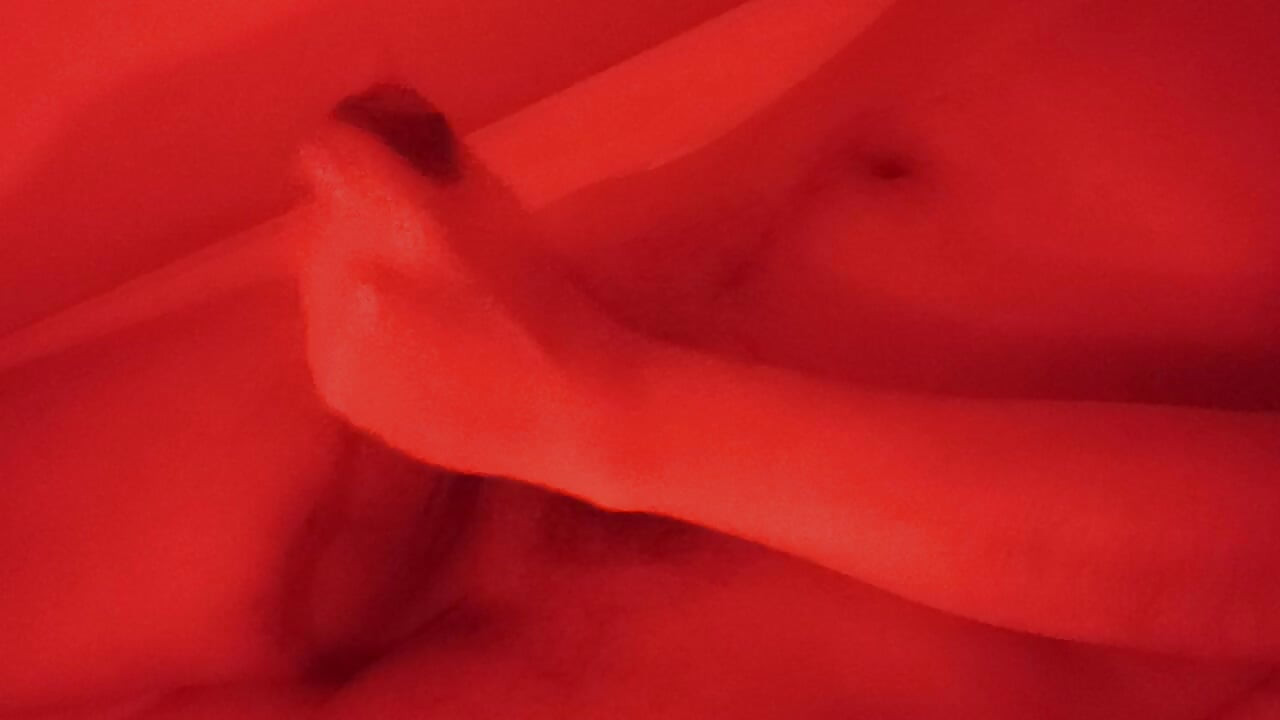 Dan za zagrijavanje mlijeka 1295