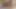 Seks threesome bareng mahasiswi binal yang lagi sange berat: dua pelacur jalang ini lagi asik ngentot dan ngentot kontol besar vol 4