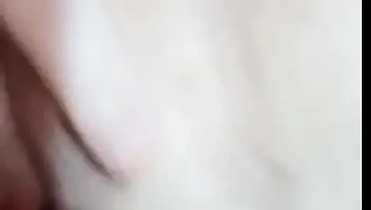 Muschi Becek Indonesien 2026