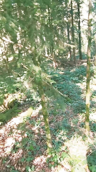 I'm Wandering Around in the Woods, Exhibitionism, Looking for a Good Cock to Fuck Me.
